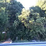 Park * Split